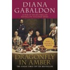 Dragonfly In Amber         {USED}